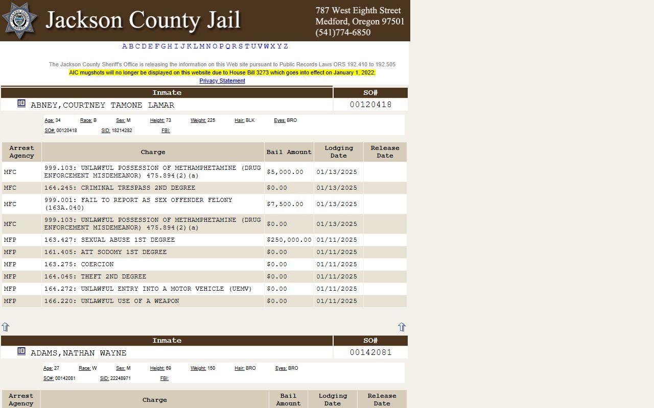 Jackson County inmate search portal showing recent bookings and arrest records